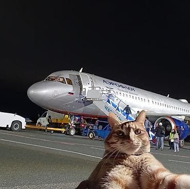 Кызматтар: ✈️ БАРДЫК БАГЫТТАРГА АВИАБИЛЕТТЕР ✈️ Каалаган өлкөлөргө жана шаарларга — 3