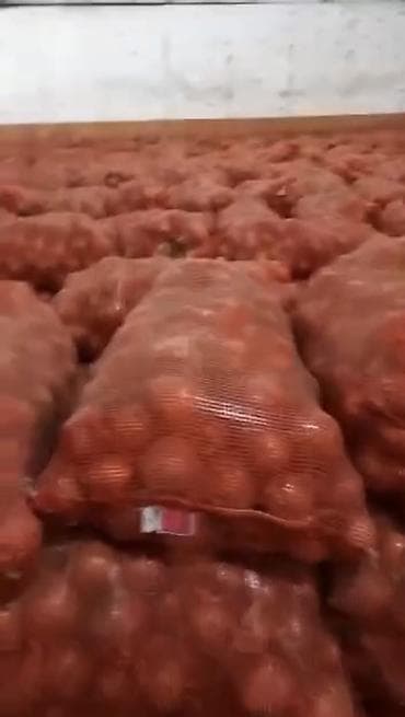 Картошка: Лук — 2