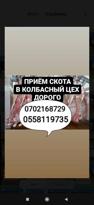домик для животных: Куплю | Лошади, кони, Коровы, быки, Другие с/х животные | Забитый, Круглосуточно, На откорм — 1