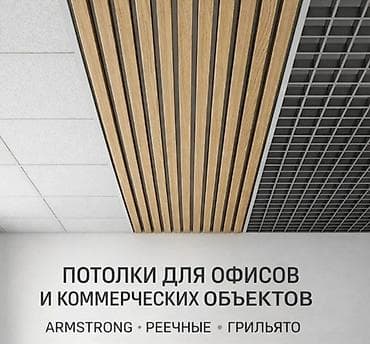квартира алам: Урматтуу Каракол шаарынын тургундары сиздер кеңсеңизге же дүкөнүңүзгө — 1