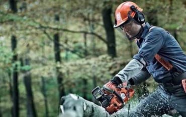 Спилю и заберу деревья бесплатно работаем в городе и за городом пилим