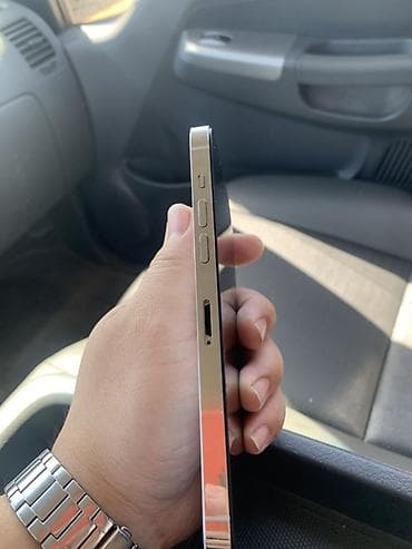 mini 5: IPhone 14 Pro Max, Серебристый, 1 % — 5