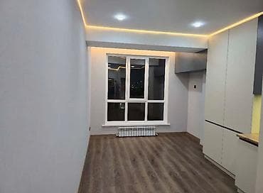 Кыймылсыз мүлк: 1 бөлмө, 46 м², Элитка, 10 кабат — 2
