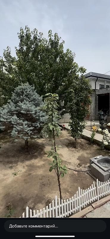 барачные квартиры на продажу: Срочно Продаю Дом в Кок Жаре ! Большой дом, с хорошим евро ремонтом — 3