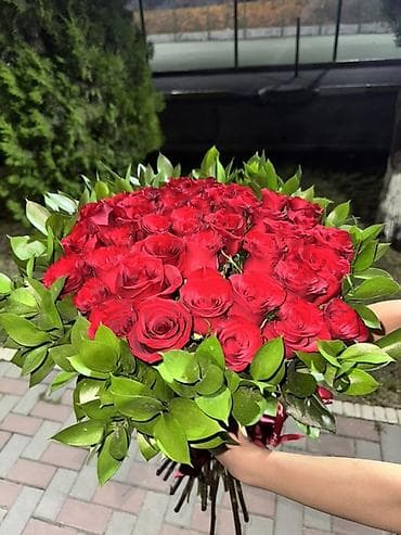 цикломен цветы: Ноп новый 😍🥹 — 1