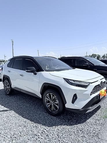 накладки на 124: Toyota RAV4: 2022 г., 2.5 л, Вариатор, Гибрид, Кроссовер — 2