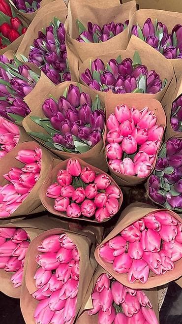 Тюльпаны оптом и в розницу Оптом 80сом В розницу 90сом Вотцап -