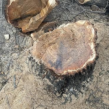 питевая вода: Дрова — 4