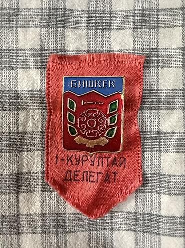 Бишкек 1 - Курултай делегат