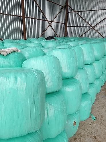 куплю кукуруза для силоса: Силос в тюках (рулонная упаковка) - Корм для КРС, овец, коз и лошадей — 2