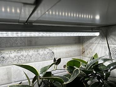 хойи: Фитолампа 600сом 15 ватт длина 0,9м. Фитильный горшок новые обьем 0,5 — 3