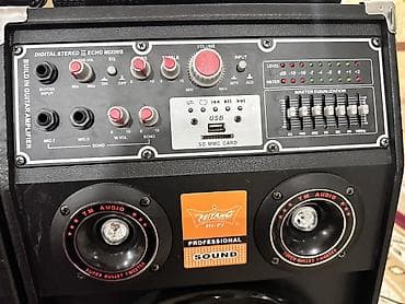 рестоврация динамиков: Двухкомпонентная акустическая система для караоке и вечеринок — 4