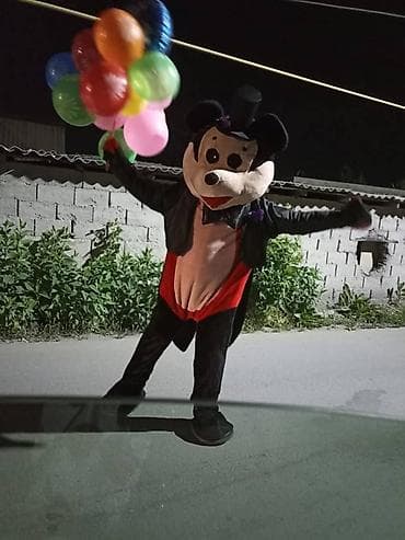 музыкальный карусель: Анимационное шоу-программа для детей Что входит: - Профессиональные — 9