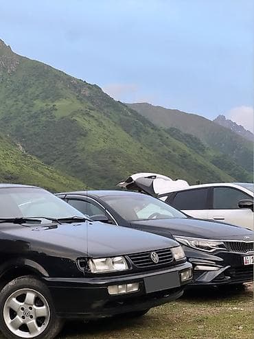 Volkswagen Passat: 1994 г., 2 л, Бензин, Седан — 1