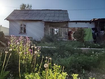 тюп участок: 4 соток, Для строительства, Красная книга — 3