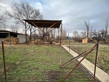 Продажа офисов: Продаётся сельхозобъект/участок под фермерское хозяйство — 4
