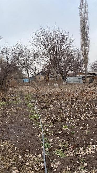 дом с участком: Продаётся жилой дом с большим приусадебным участком. Характеристики — 5