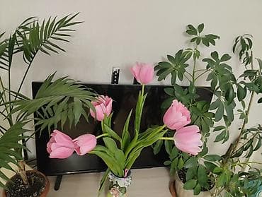 Платья: Комплект, цвет - Желтый, Новый — 6