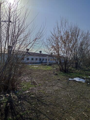 дом на иссык куле купить: 65 соток, Для бизнеса, Красная книга, Тех паспорт, Договор купли-продажи — 8