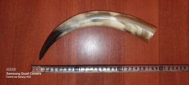 купить прикормочный кораблик для рыбалки: Рог. В хорошем состоянии — 3