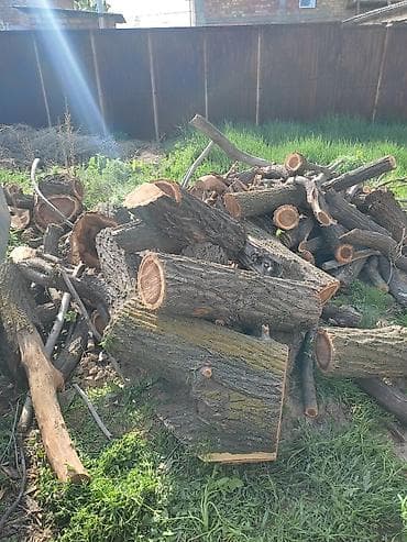 одежда охраны: Дрова — 3