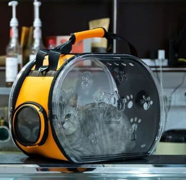 домик для котенка: Зоотовары лоток, кормушка, игрушка, лопатка комплект цена 1000 сом — 22