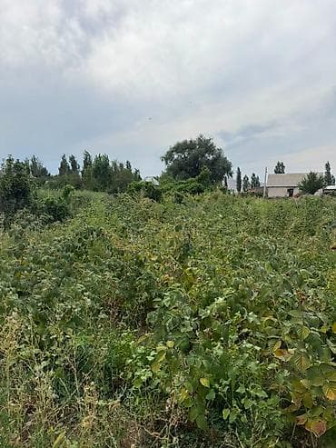 rich home: 15 соток, Для сельского хозяйства, Красная книга, Договор купли-продажи — 3