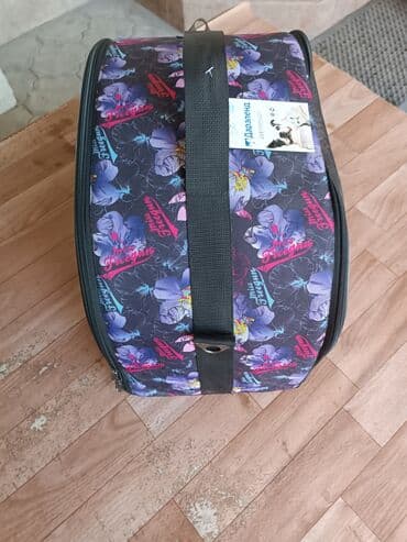 Кошки: 900 сом хорошем качестве — 6