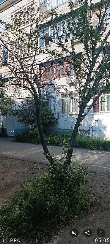 2 комнаты, 77 м², 1 этаж, Косметический ремонт