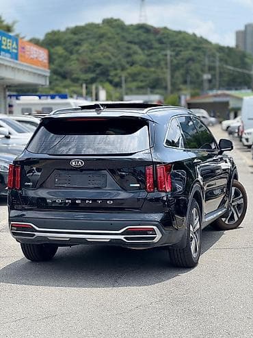 1: Kia Sorento: 2020 г., 1.6 л, Автомат, Гибрид, Кроссовер — 5