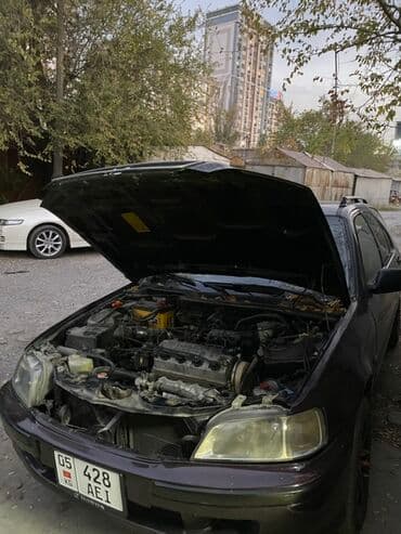 полированный: Honda Civic: 1998 г., 1.5 л, Автомат, Бензин, Универсал — 3