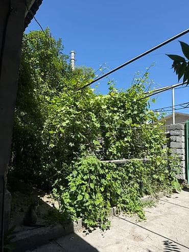 швейный машины: Продается дом в селе Новопокровка 📍 Участок — 7,13 соток по — 6
