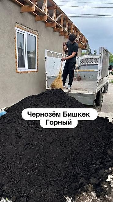 токмок цветы: Чернозём Горный отлично подойдёт для газона цветы овощи фрукты и тоже — 1