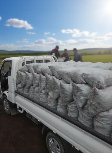 барбекью: Древесный уголь — 1