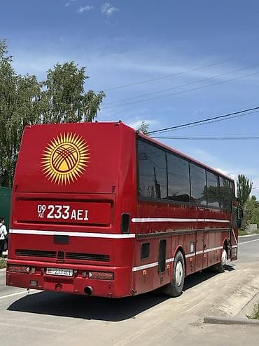 бус дельфин: Автобус, DAF, 40 и более мест — 5