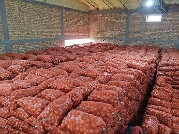 Декор жана интерьер: Пияз Дүңүнөн — 2