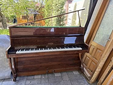 Фортепиано Rönisch (пианино, вертикальное) - Бренд/модель: Rönisch