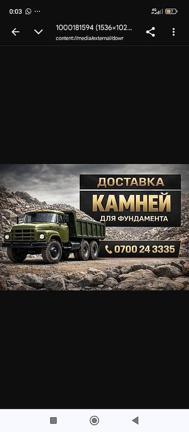 голуби животные: Камни — 1