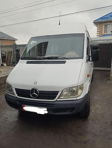 Mercedes-Benz Спринтер: 2003 г., 2.9 л, Механика, Дизель, Минивэн