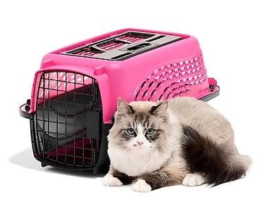 cat sofa: PETMATE США Переноска для кошек и собак новая, посмотреть можно в 12 — 2