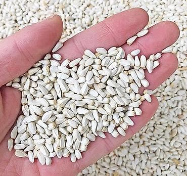 Дом и сад: Продаю сафлор — 2