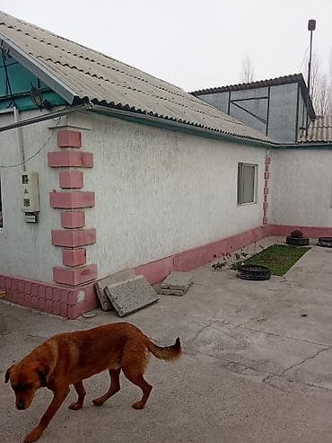 Ашкана буюмдары: Дом с двором и капитальным забором из профлиста - Отдельно стоящий — 4