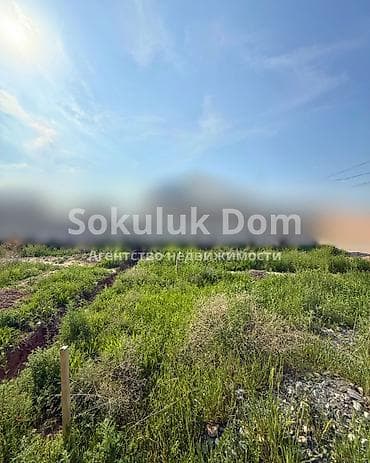 сокулуе: 5 соток — 1