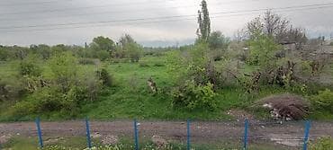 дом ремонт: 15 соток, Для строительства, Красная книга — 2