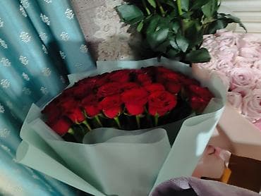 розы саженцы купить: Букеты из роз — классическая коллекция - Пышный букет из — 5