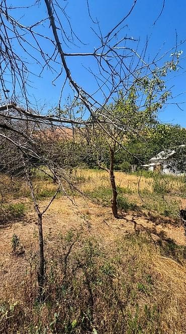 дом вост: 🏡 СРОЧНАЯ ПРОДАЖА ДАЧИ 🔥 📍 с.Беш-Кюнгей ДТ «Энергия» ✅ 6 соток по — 7