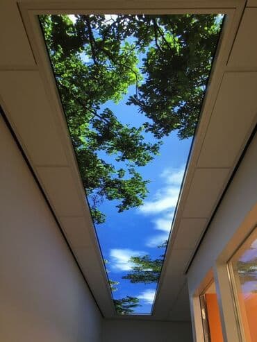 искусственный светы: Керме шыптар Жылтырак, Жылтырабаган, 3D потолоктор Кепилдиги, Акысыз консультация, Монтаждоо — 10