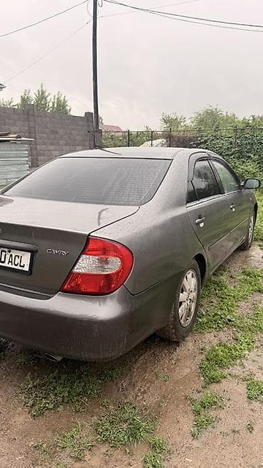 тайота грузовик: Toyota Camry: 2003 г., 2.4 л, Автомат, Газ, Седан — 7