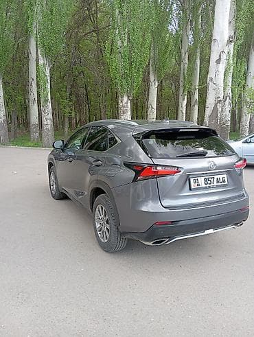 lexus alteza: Lexus NX: 2016 г., 2 л, Автомат, Бензин, Кроссовер — 5