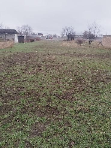 Продажа домов: Продаётся дом в селе Эфиранос, на участке 20 соток (с тапчаном) — 4